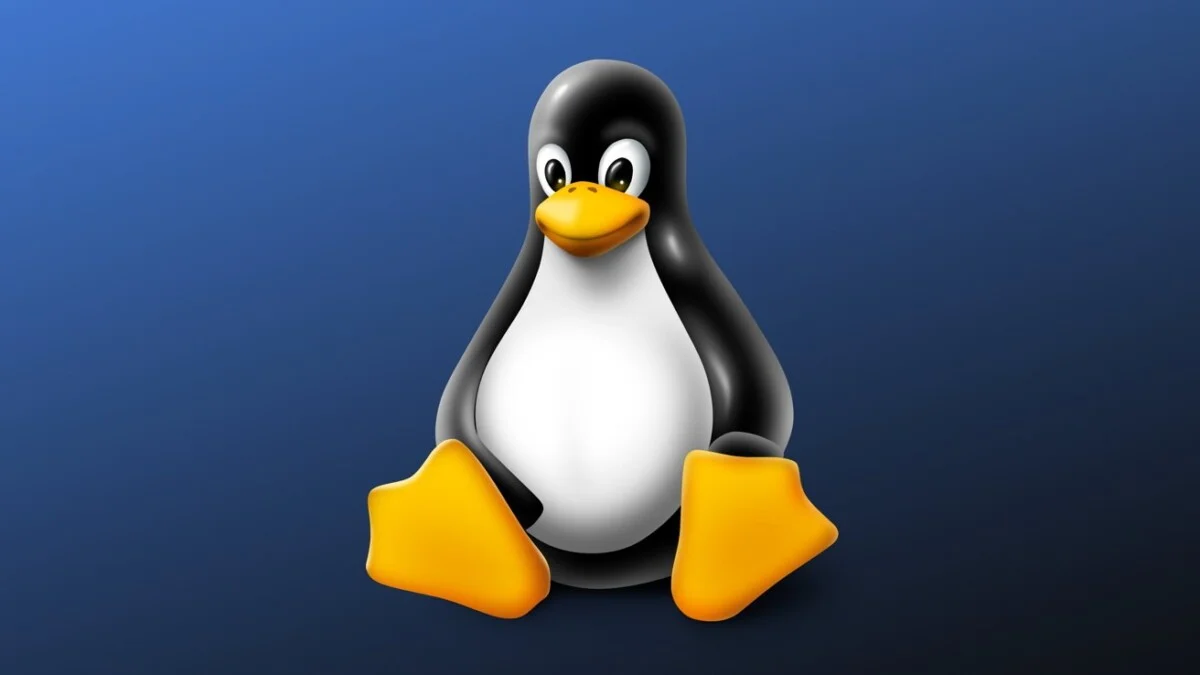 How to change folder permissions 755 in Linux